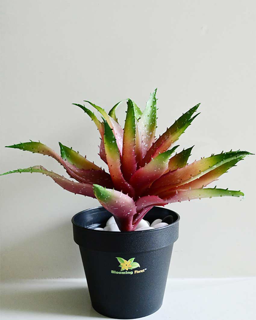 Vibrant Artificial Aloe Vera Plant with Basic Pot | 10 inches