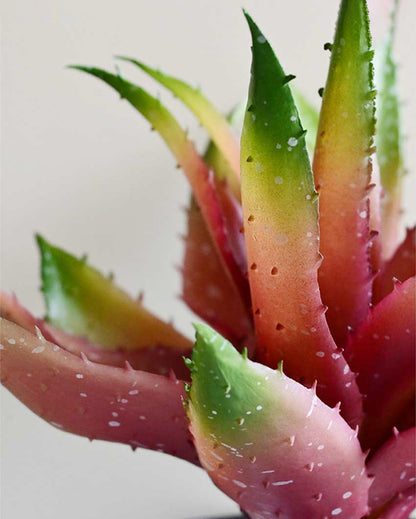 Vibrant Artificial Aloe Vera Plant with Basic Pot | 10 inches