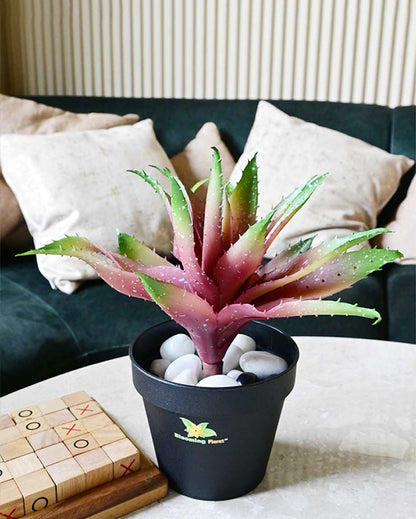 Vibrant Artificial Aloe Vera Plant with Basic Pot | 10 inches