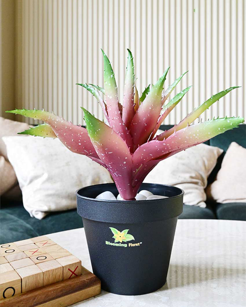 Vibrant Artificial Aloe Vera Plant with Basic Pot | 10 inches