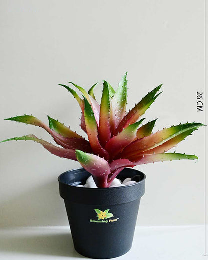 Vibrant Artificial Aloe Vera Plant with Basic Pot | 10 inches