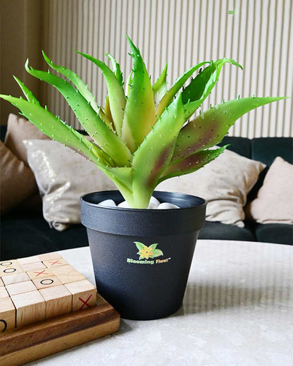 Vibrant Artificial Aloe Vera Plant with Basic Pot | 10 inches