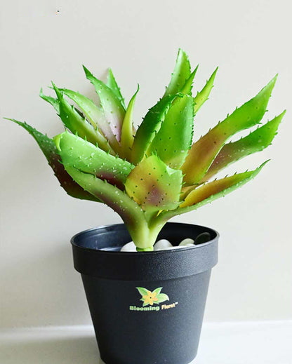 Vibrant Artificial Aloe Vera Plant with Basic Pot | 10 inches