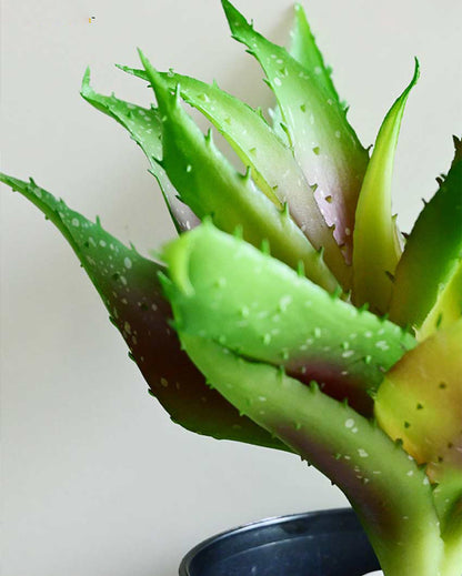 Vibrant Artificial Aloe Vera Plant with Basic Pot | 10 inches