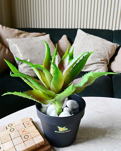 Vibrant Artificial Aloe Vera Plant with Basic Pot | 10 inches