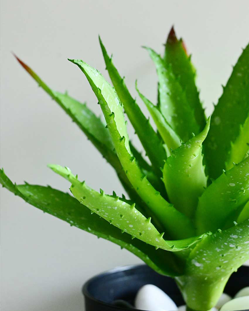 Vibrant Artificial Aloe Vera Plant with Basic Pot | 10 inches