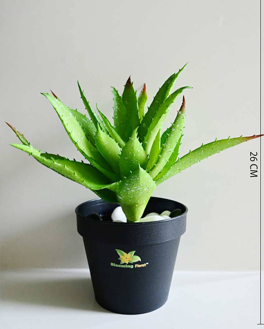 Vibrant Artificial Aloe Vera Plant with Basic Pot | 10 inches