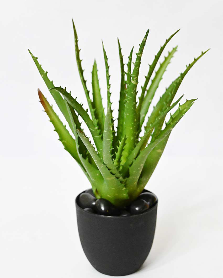 Lush Artificial Aloe Vera Plant with Basic Pot | 9 inches