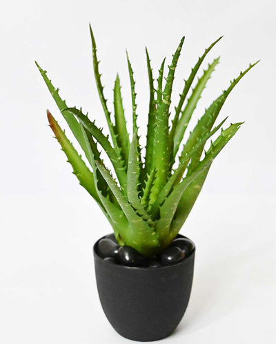 Lush Artificial Aloe Vera Plant with Basic Pot | 9 inches