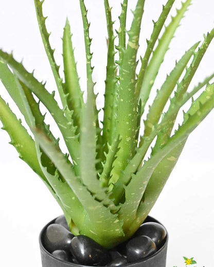 Lush Artificial Aloe Vera Plant with Basic Pot | 9 inches