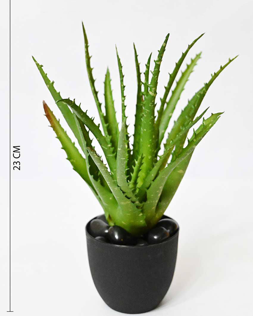 Lush Artificial Aloe Vera Plant with Basic Pot | 9 inches