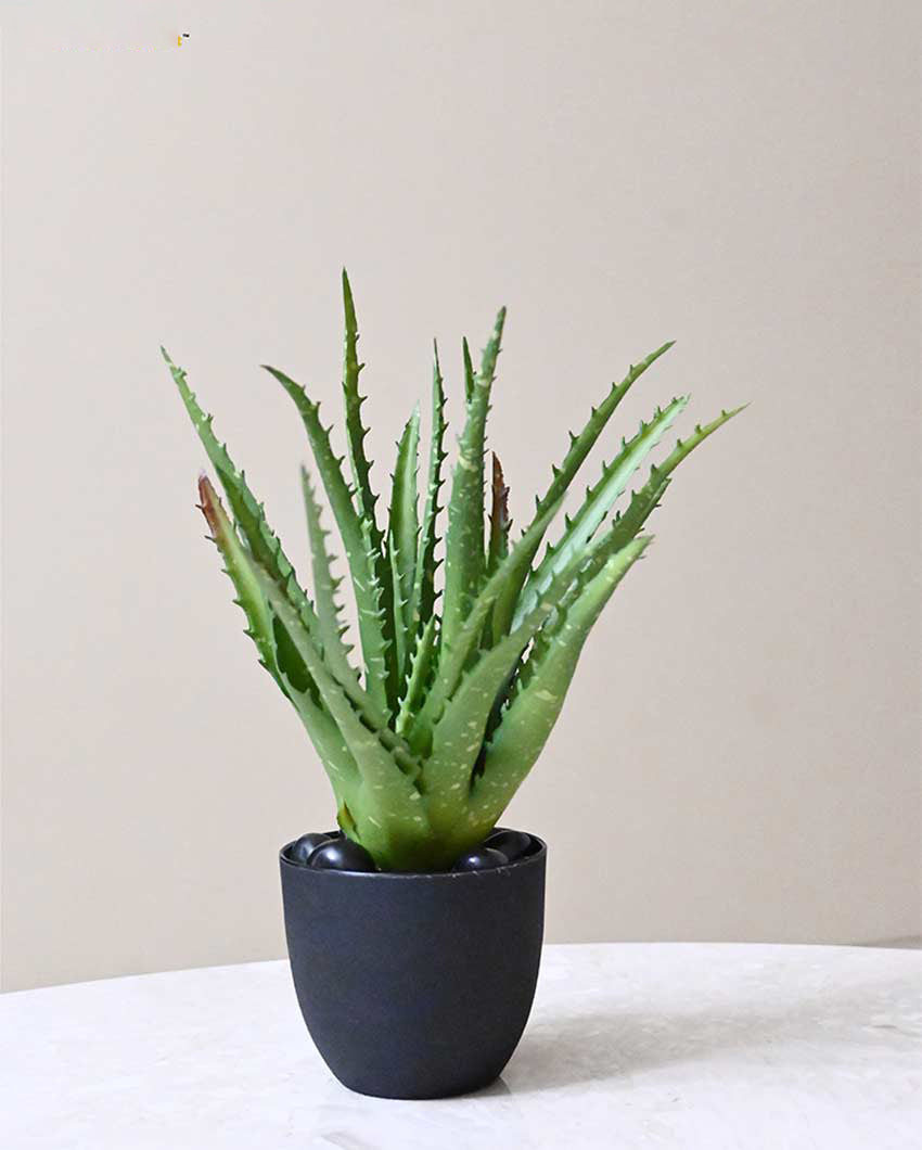 Lush Artificial Aloe Vera Plant with Basic Pot | 9 inches