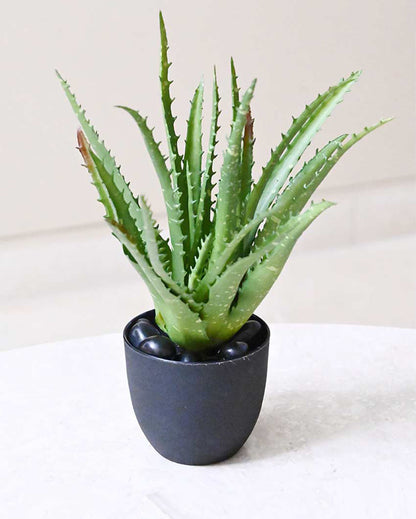 Lush Artificial Aloe Vera Plant with Basic Pot | 9 inches