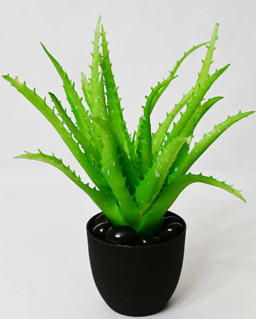 Lush Artificial Aloe Vera Plant with Basic Pot | 9 inches