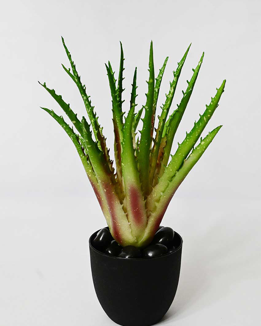 Lush Artificial Aloe Vera Plant with Basic Pot | 9 inches