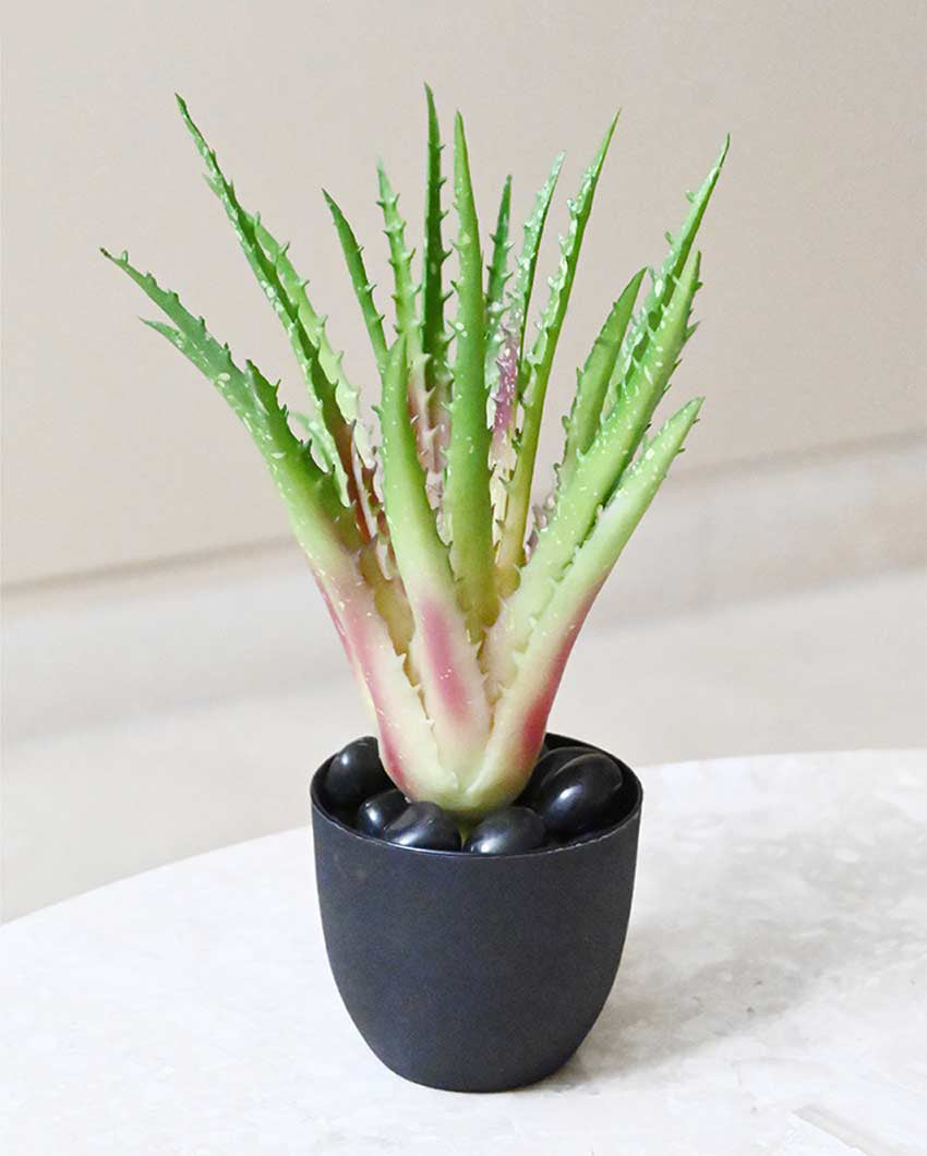 Lush Artificial Aloe Vera Plant with Basic Pot | 9 inches