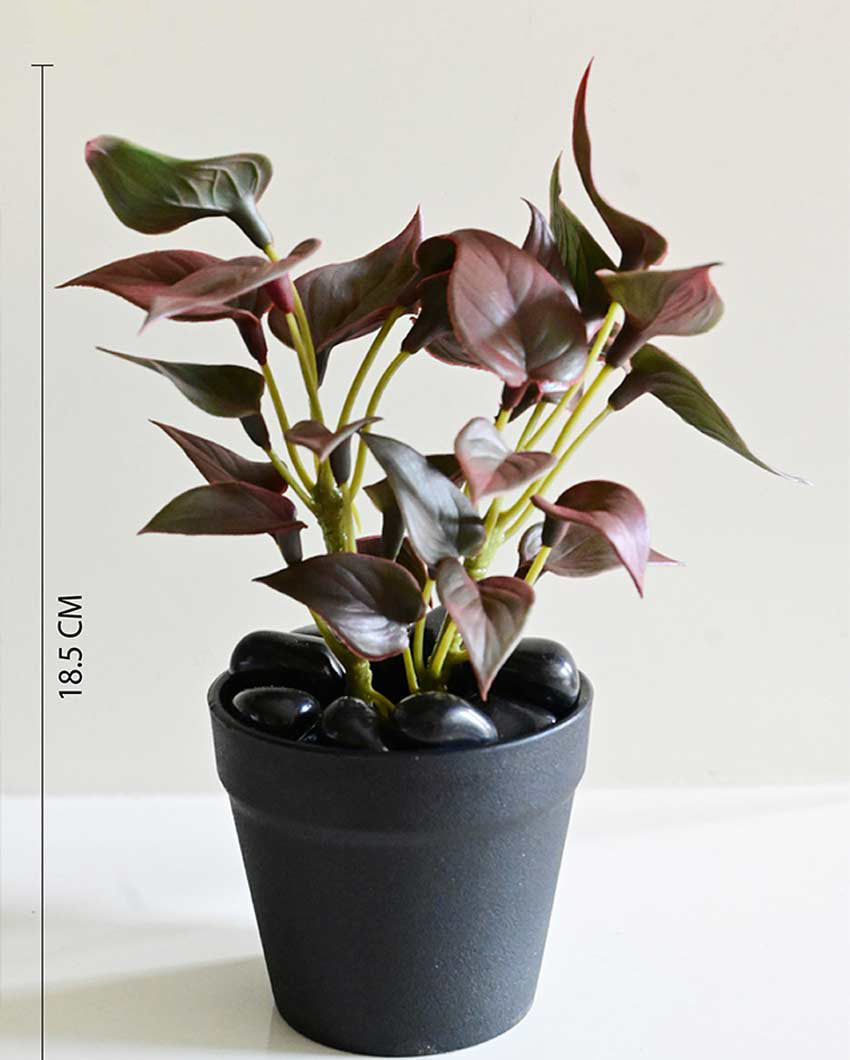 Fresh Artificial Pathos and Money Plant with Basic Pot | 7 inches