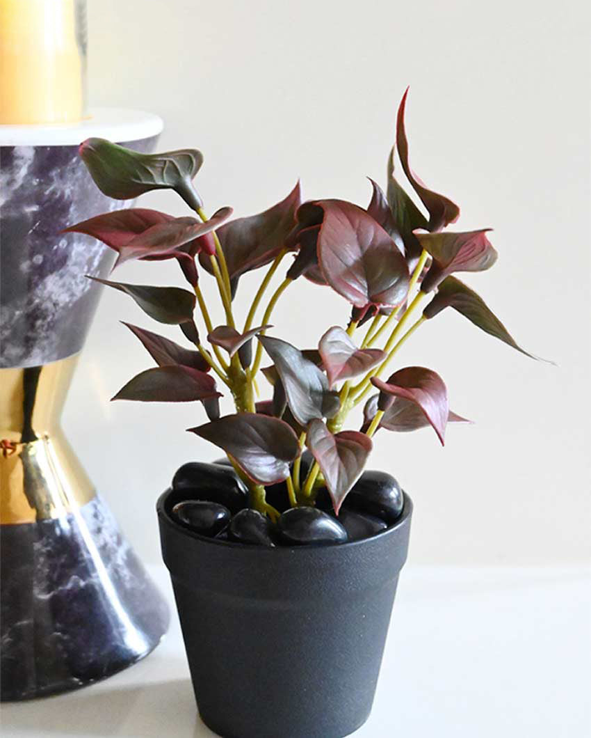 Fresh Artificial Pathos and Money Plant with Basic Pot | 7 inches