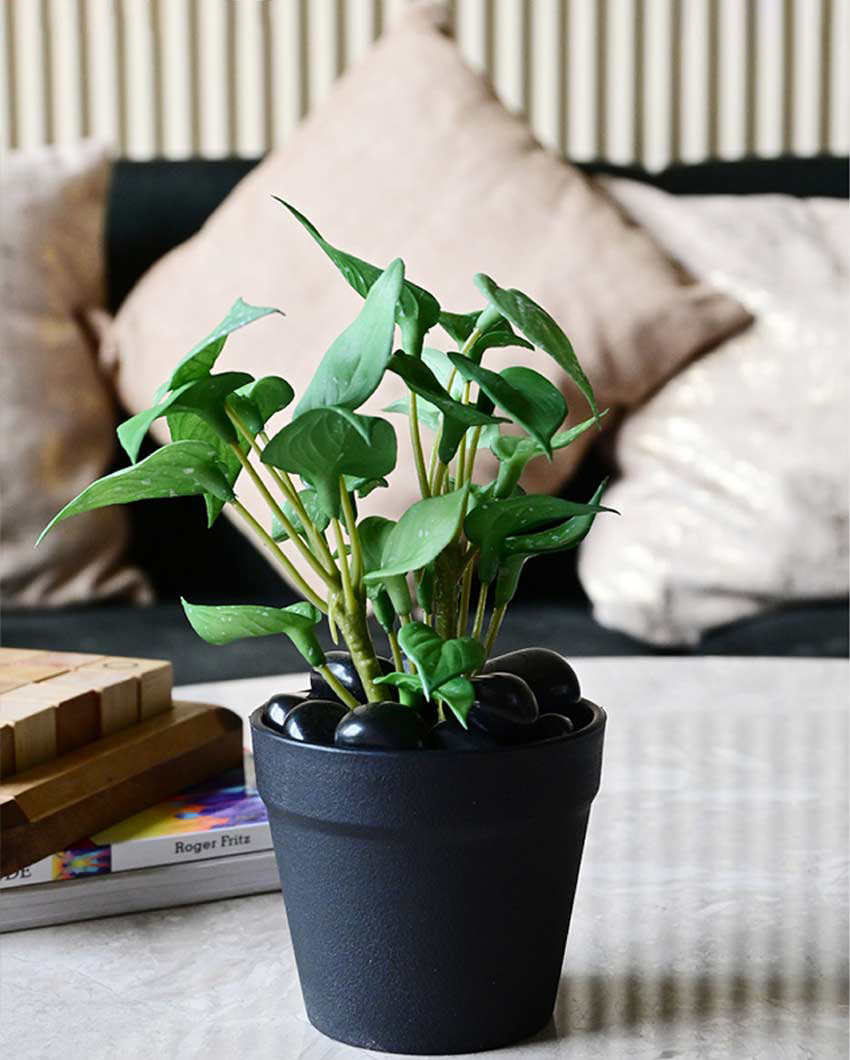 Fresh Artificial Pathos and Money Plant with Basic Pot | 7 inches