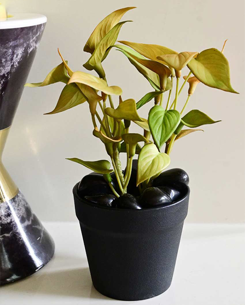 Fresh Artificial Pathos and Money Plant with Basic Pot | 7 inches