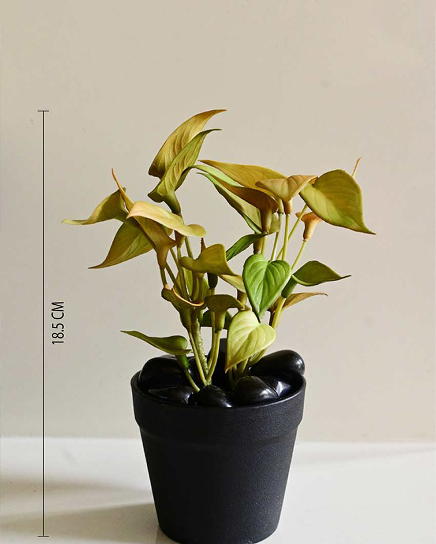 Fresh Artificial Pathos and Money Plant with Basic Pot | 7 inches