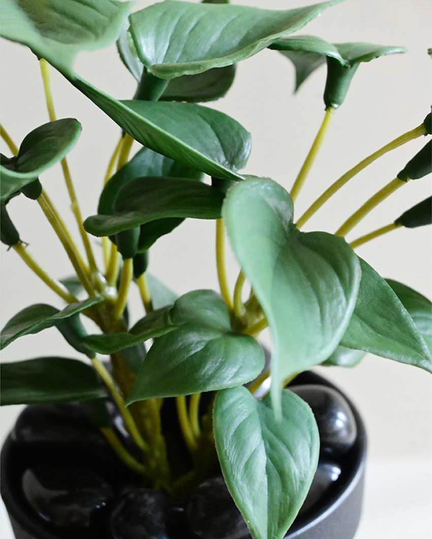 Fresh Artificial Pathos and Money Plant with Basic Pot | 7 inches