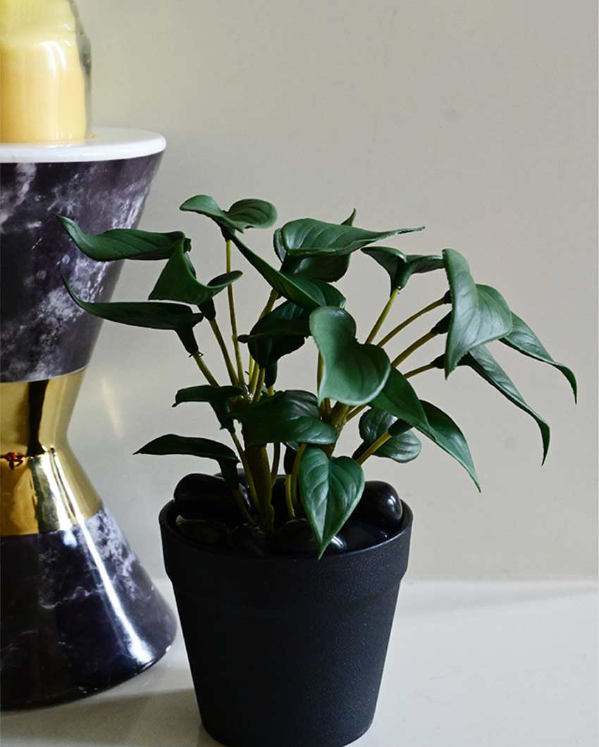 Fresh Artificial Pathos and Money Plant with Basic Pot | 7 inches