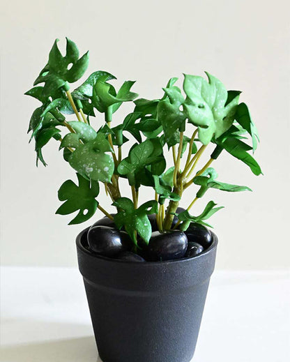 Compact Artificial Small Monstera Plant with Basic Pot | 6 inches