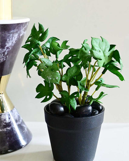 Compact Artificial Small Monstera Plant with Basic Pot | 6 inches