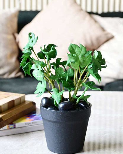 Compact Artificial Small Monstera Plant with Basic Pot | 6 inches