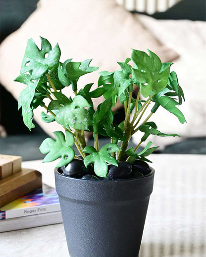 Compact Artificial Small Monstera Plant with Basic Pot | 6 inches