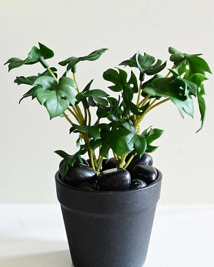 Compact Artificial Small Monstera Plant with Basic Pot | 6 inches