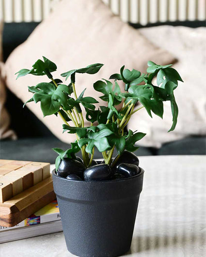 Compact Artificial Small Monstera Plant with Basic Pot | 6 inches