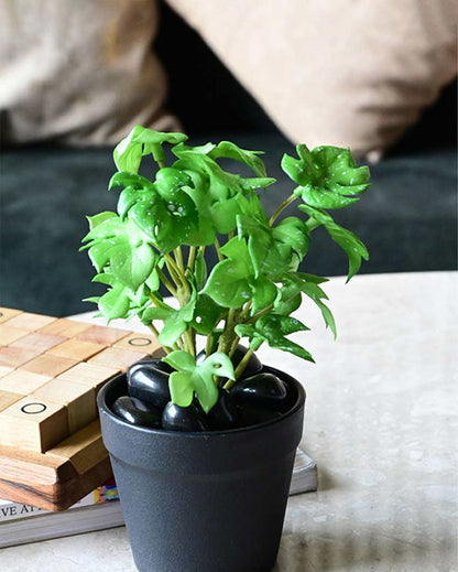 Compact Artificial Small Monstera Plant with Basic Pot | 6 inches