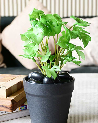 Compact Artificial Small Monstera Plant with Basic Pot | 6 inches