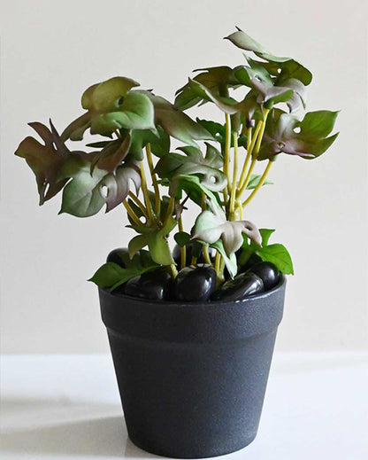 Compact Artificial Small Monstera Plant with Basic Pot | 6 inches