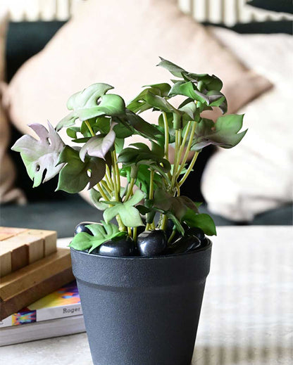 Compact Artificial Small Monstera Plant with Basic Pot | 6 inches