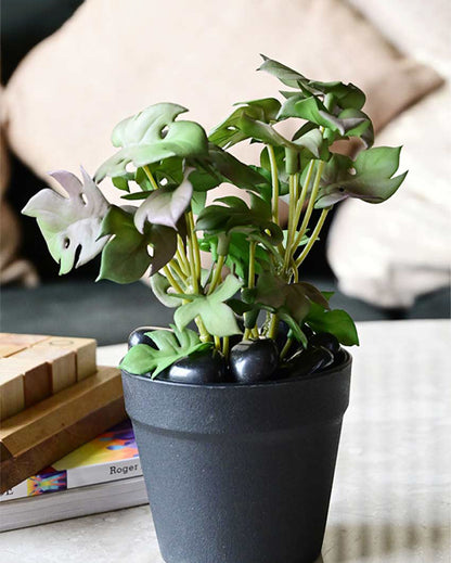 Compact Artificial Small Monstera Plant with Basic Pot | 6 inches