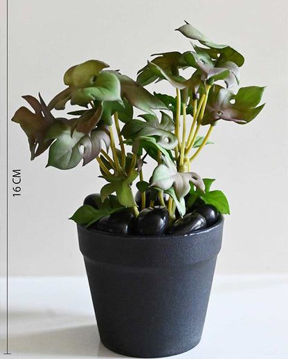 Compact Artificial Small Monstera Plant with Basic Pot | 6 inches