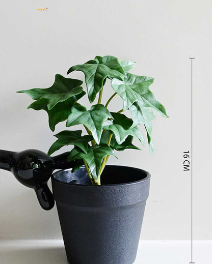 Trailing Artificial Ivy Plant with Basic Pot | 7 inches