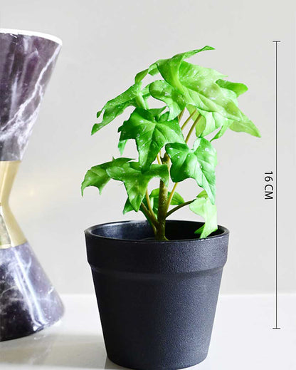 Trailing Artificial Ivy Plant with Basic Pot | 7 inches