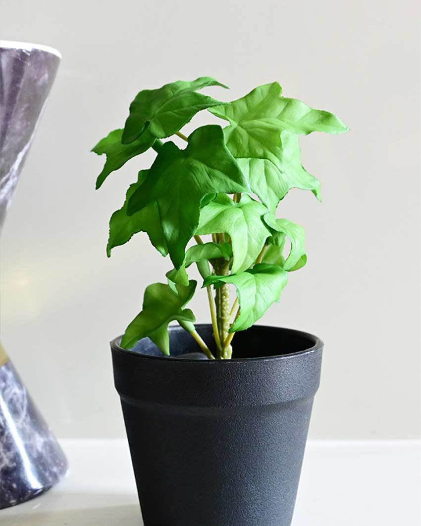 Trailing Artificial Ivy Plant with Basic Pot | 7 inches