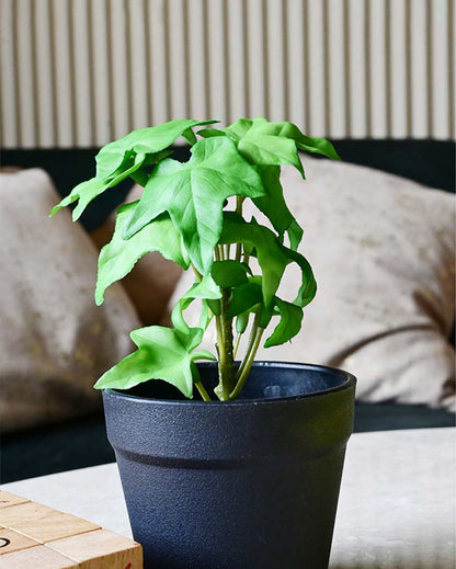 Trailing Artificial Ivy Plant with Basic Pot | 7 inches