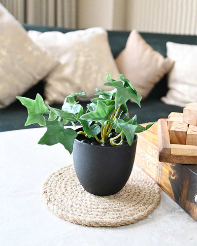 Lifelike Artificial Ivy Plant with Basic Pot | 6 inches