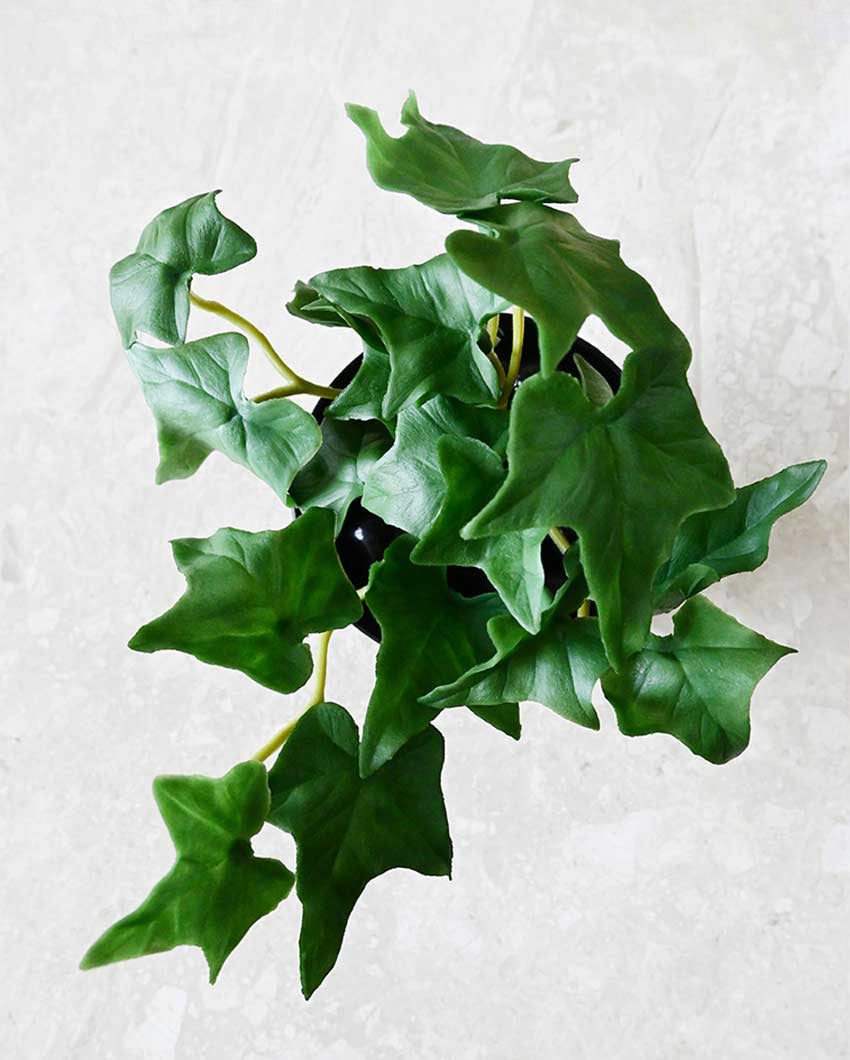 Lifelike Artificial Ivy Plant with Basic Pot | 6 inches