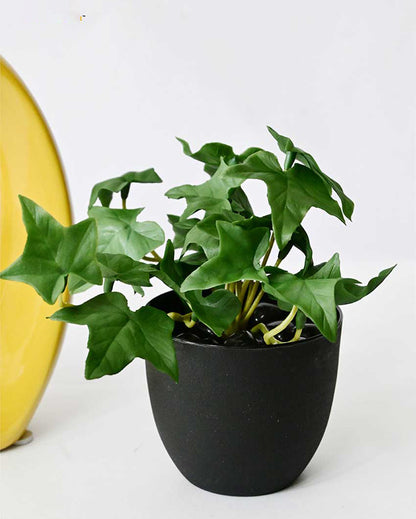 Lifelike Artificial Ivy Plant with Basic Pot | 6 inches