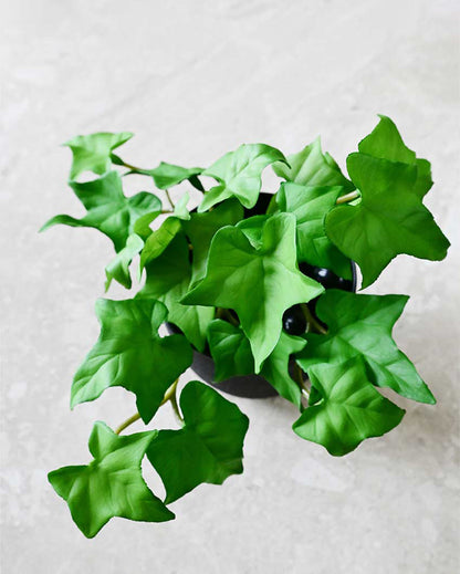 Lifelike Artificial Ivy Plant with Basic Pot | 6 inches