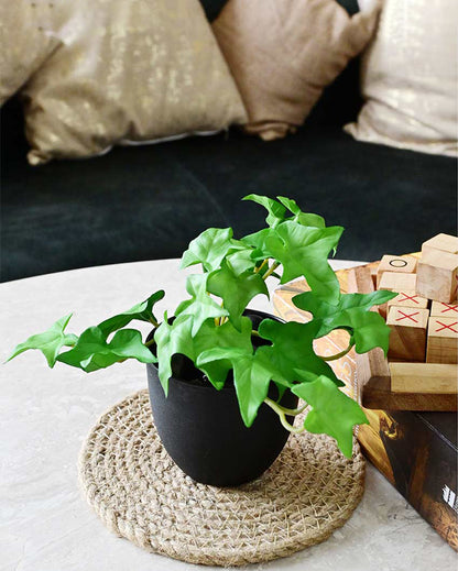 Lifelike Artificial Ivy Plant with Basic Pot | 6 inches