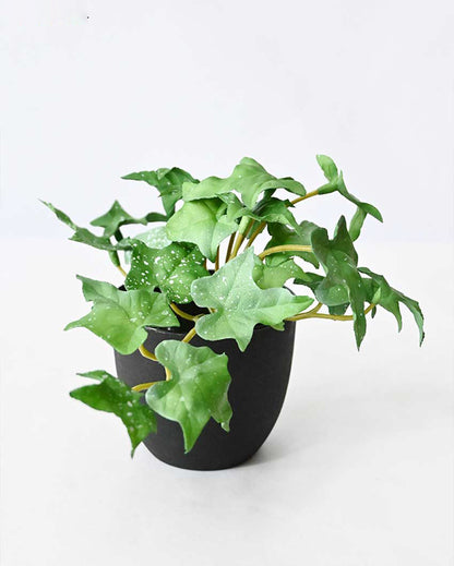 Lifelike Artificial Ivy Plant with Basic Pot | 6 inches