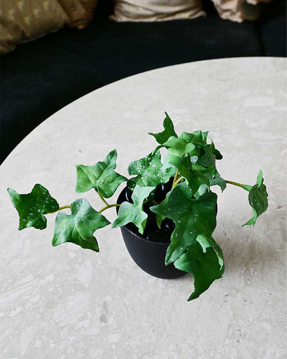 Lifelike Artificial Ivy Plant with Basic Pot | 6 inches